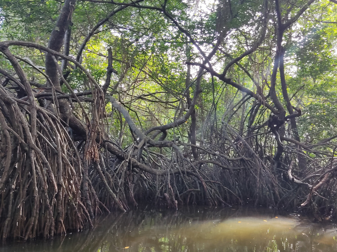 Sunshine Water Sports Centre-Aluthgama必去景点
