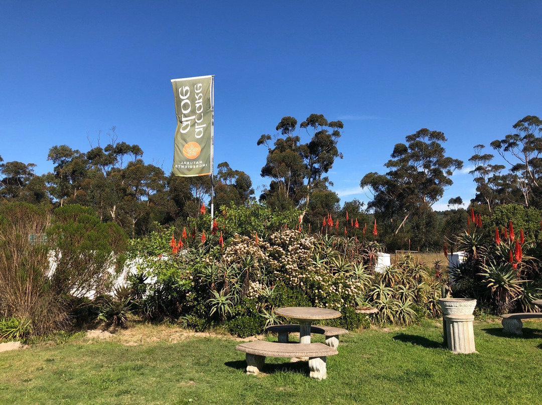 Alcare Aloe-阿尔贝蒂娜必去景点