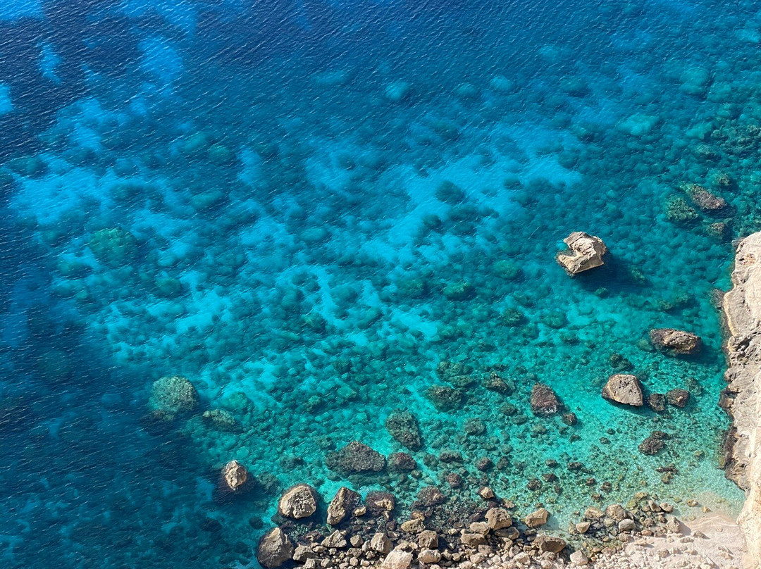 The Peligoni Club主图