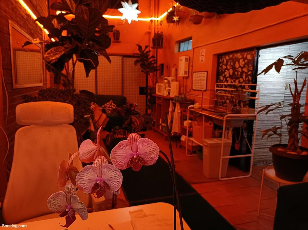 Ayenda Oasis Airport主图