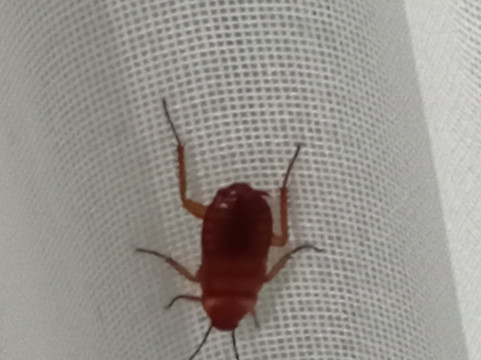 金沙滩宾馆主图