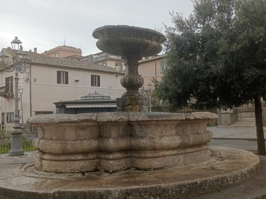 Fontana In Piazza Iv Novembre-布拉恰诺必去景点