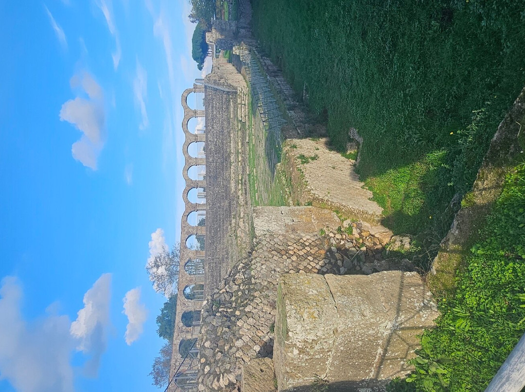 Area Archeologica di Ferento景点图片