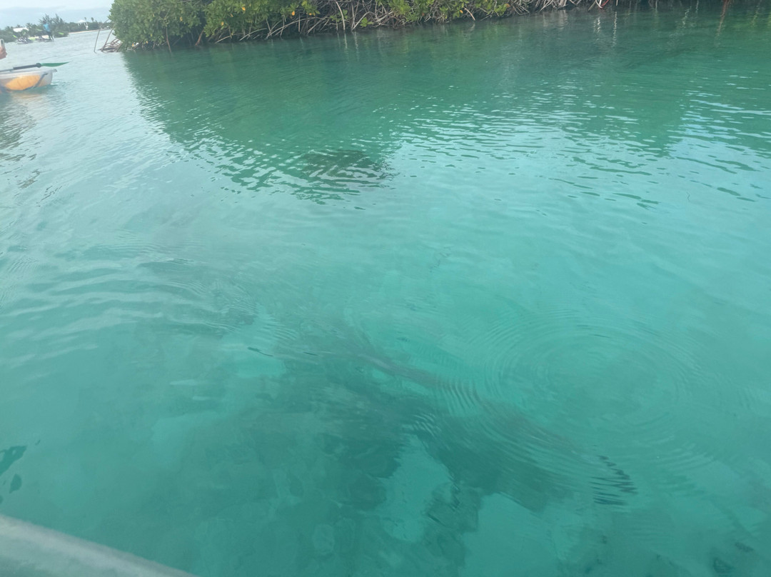 Clear wave tours-Leeward必去景点
