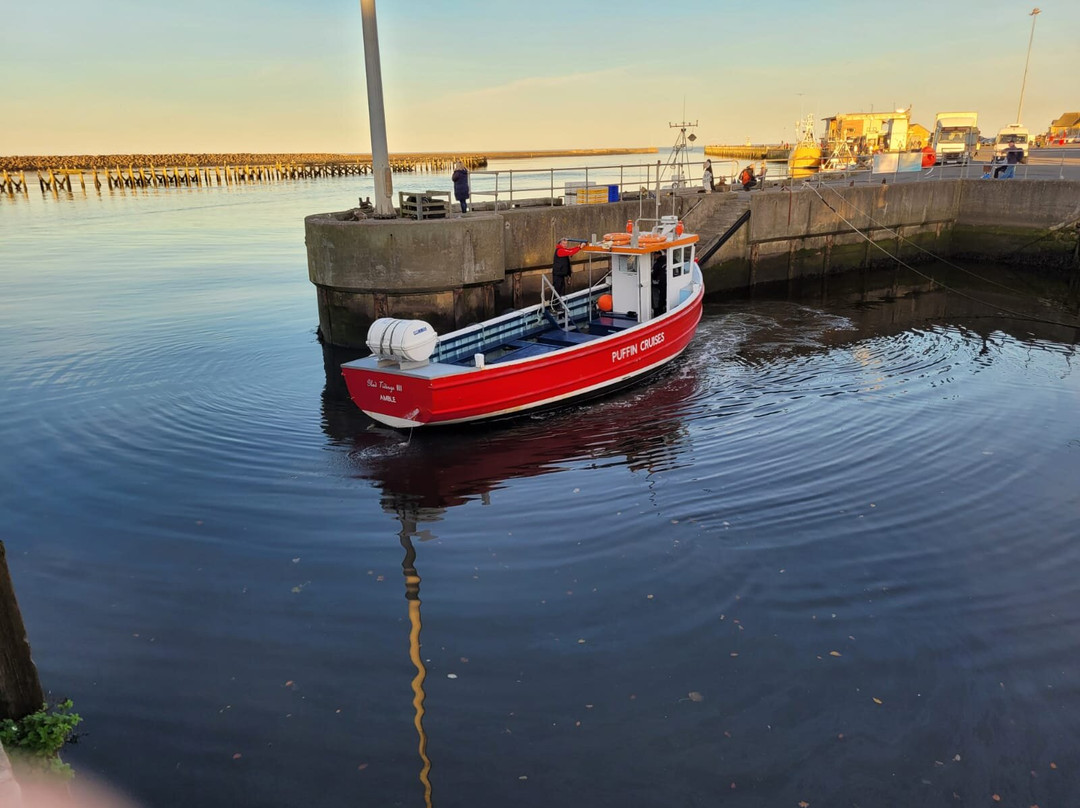 Amble Harbour Village景点图片
