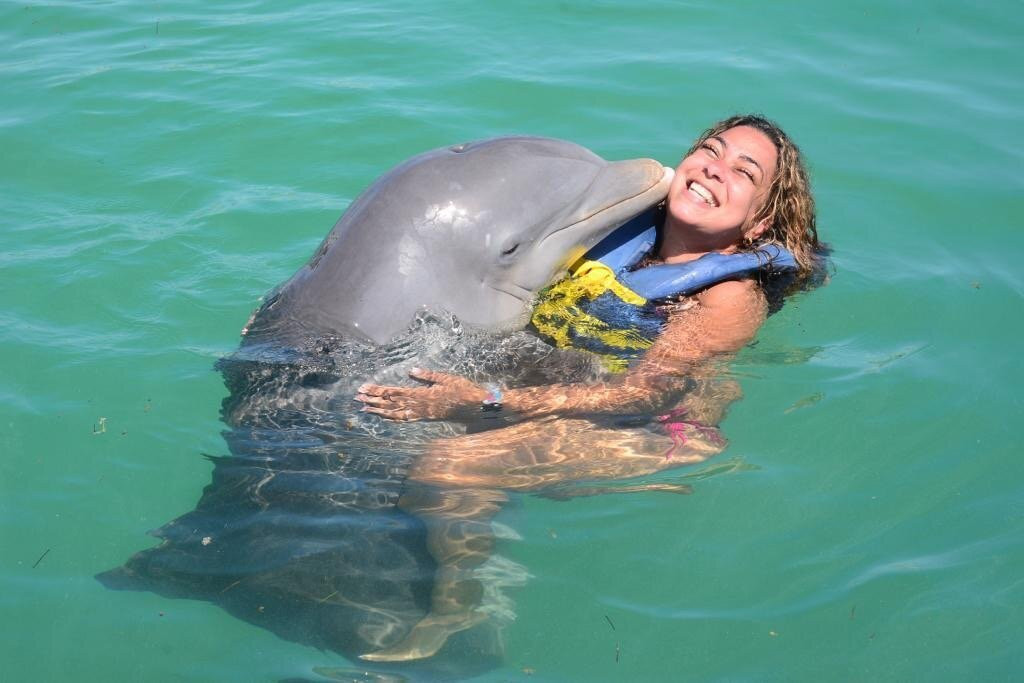 Dolphinarium on Cayo Guillermo景点图片