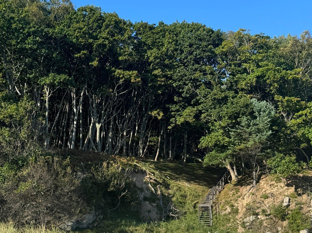 Lazo State National Park of Kalpanov-海参崴必去景点