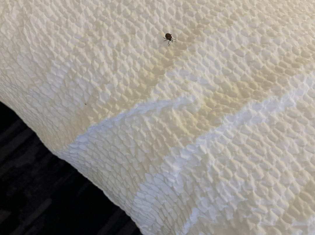 Fairfield Inn & Suites Allentown West主图
