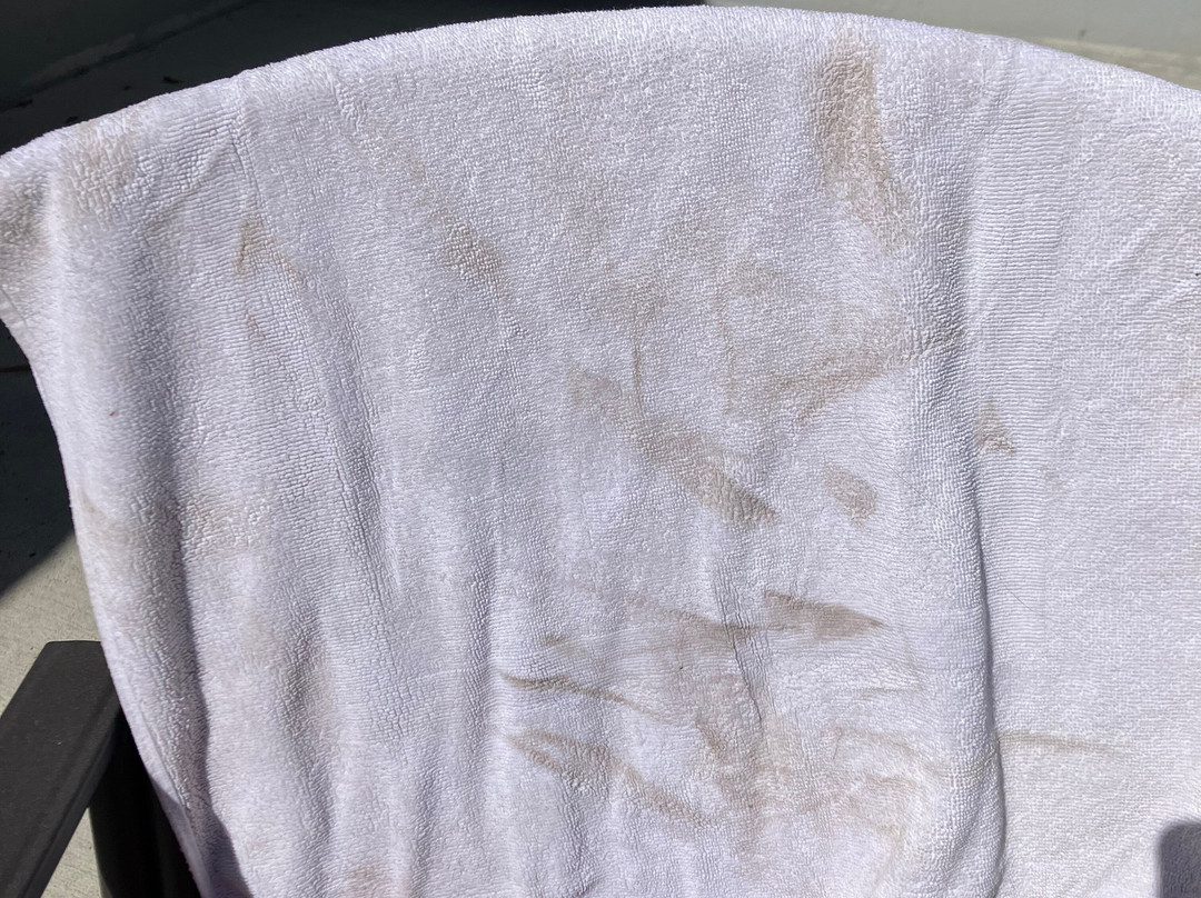 Apple Tree Inn主图