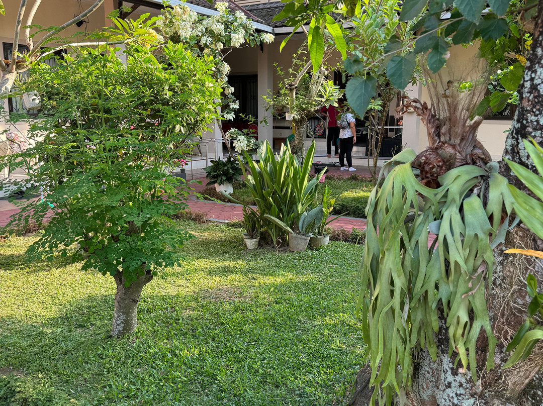 White Rose Guest House主图