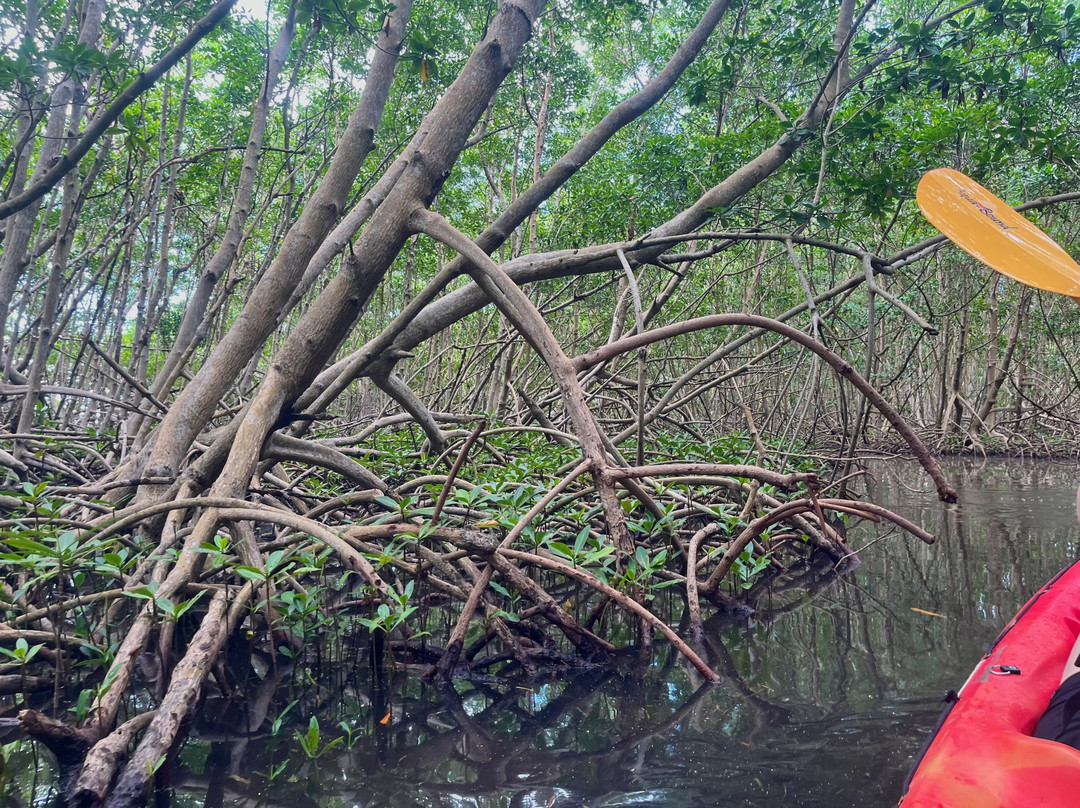 TI-Evasion Kayak de mer en Guadeloupe-Pointe-a-Pitre必去景点