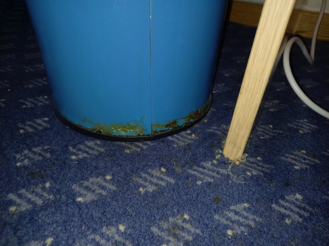 Travelodge Berwick upon Tweed主图