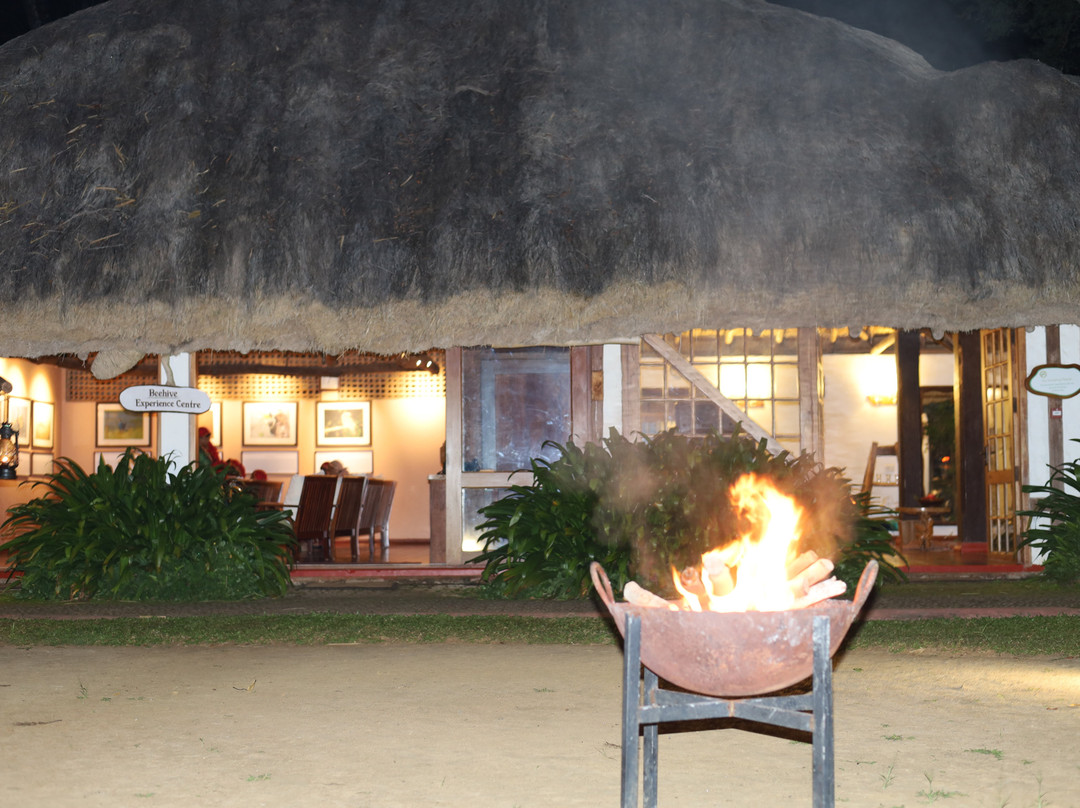 Evolve Back, Coorg主图