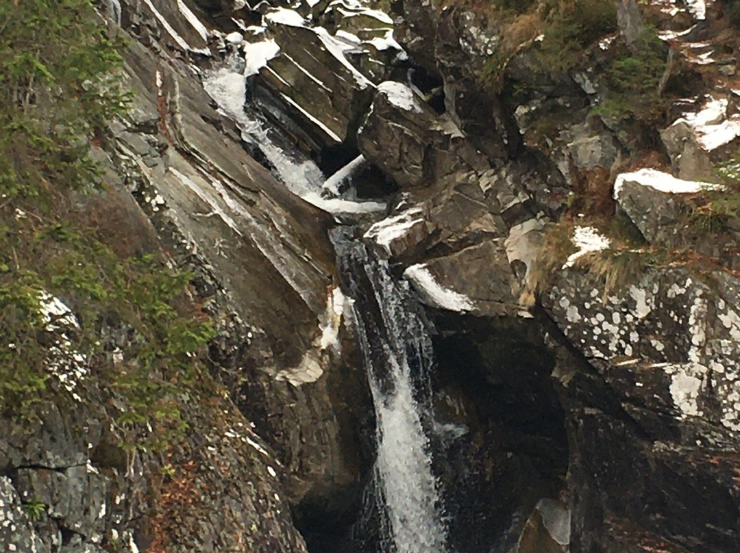 Falls of Bruar景点图片
