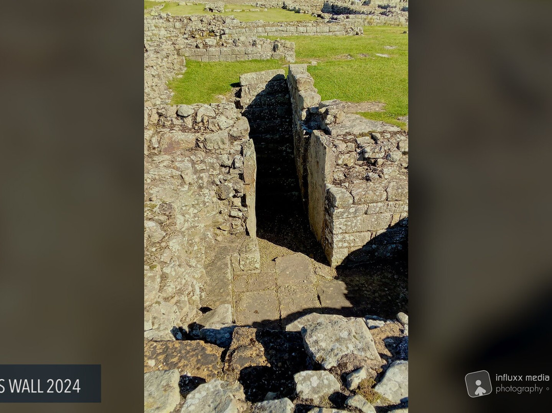 Corbridge Roman Town景点图片