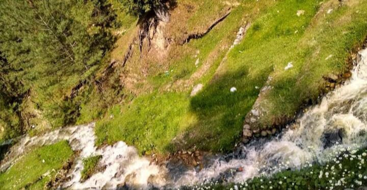 Pine View Hotel主图