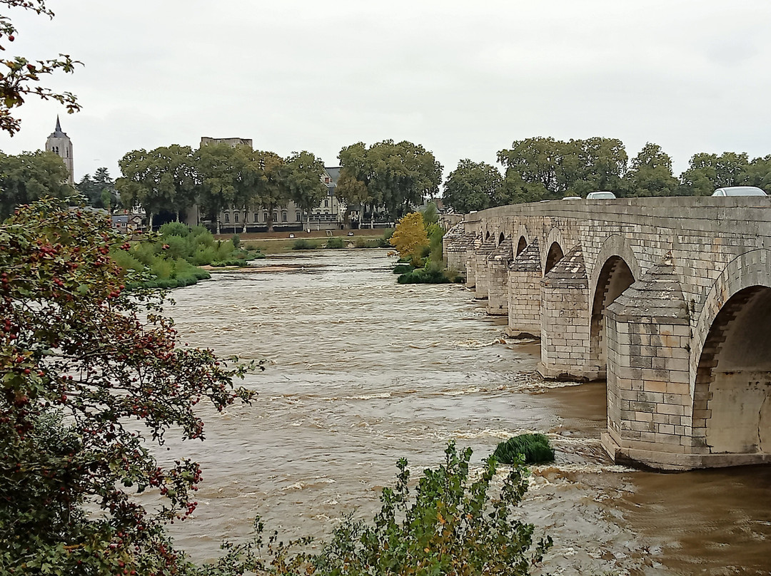 Pont de Beaugency景点图片