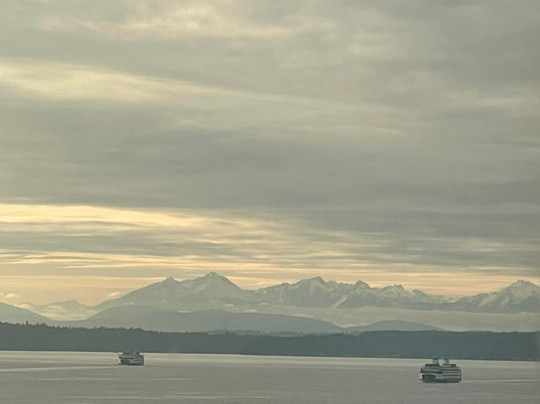 White Heron Cellars-西雅图必去景点