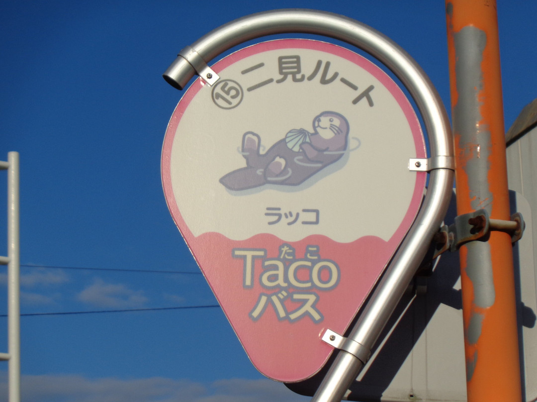 Akashi City Taco Bus-明石市必去景点