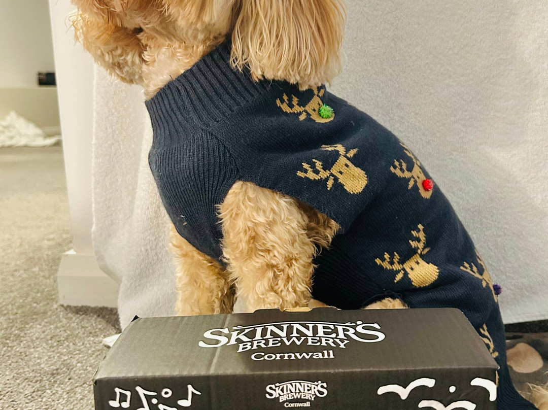 Skinner's Brewery-特鲁罗必去景点