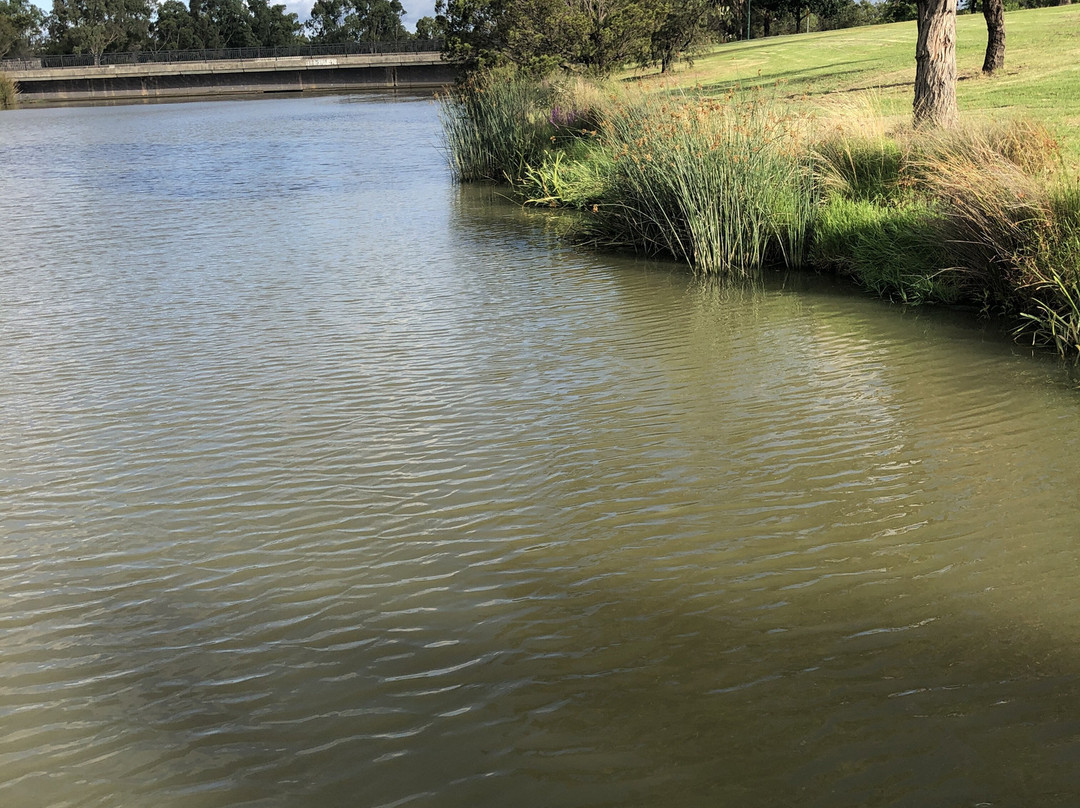 Echuca Luxury Houseboats-伊丘卡必去景点