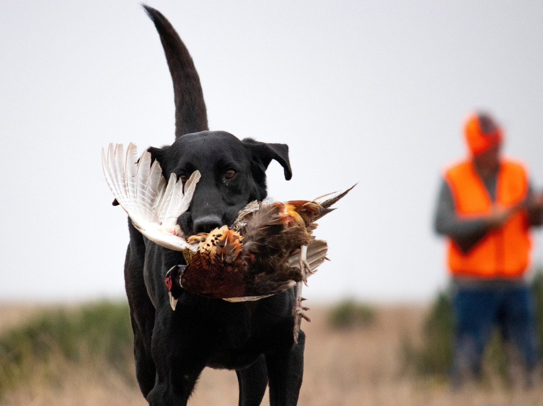 Rough Creek Lodge, Ranch And Resort主图