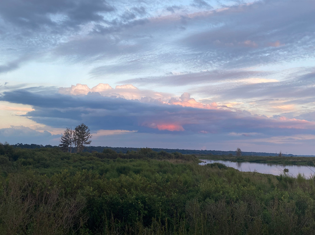 Sweetwater Wetlands Park-盖恩斯维尔必去景点