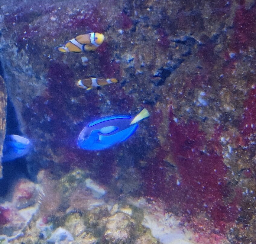 Achill Experience, Aquarium & Visitor Centre-Achill Island必去景点