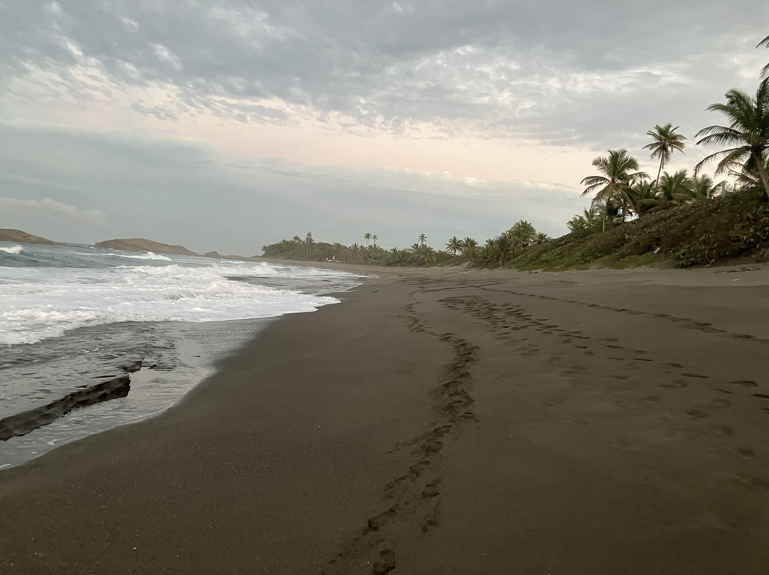 Puerto Las Vacas-巴塞罗那塔必去景点