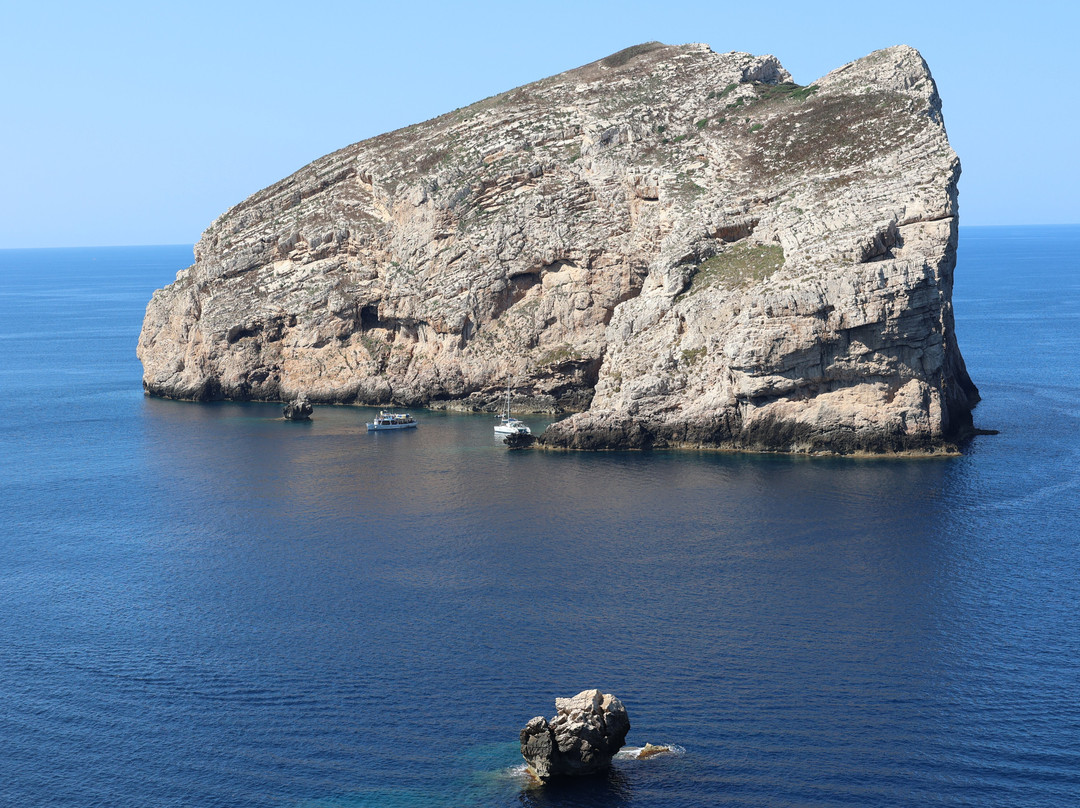 Capo Caccia Vertical Cliffs-阿尔盖罗必去景点