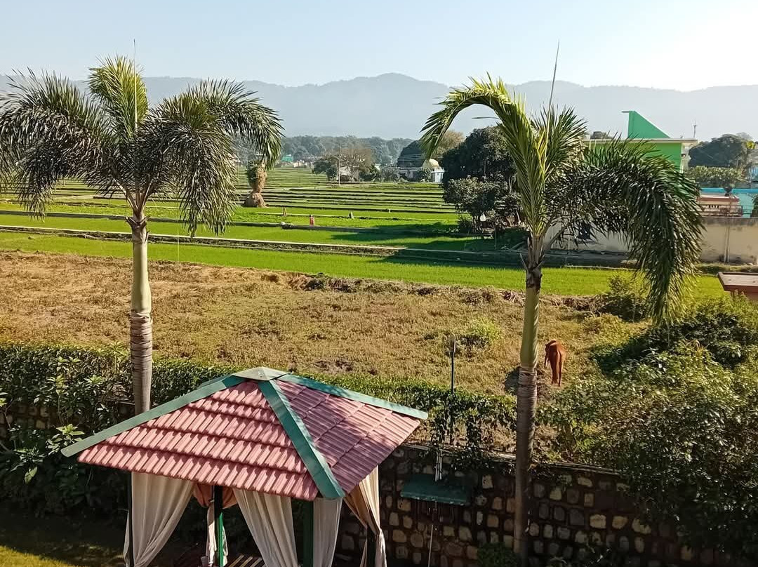 The Neeraj Forest Resort主图