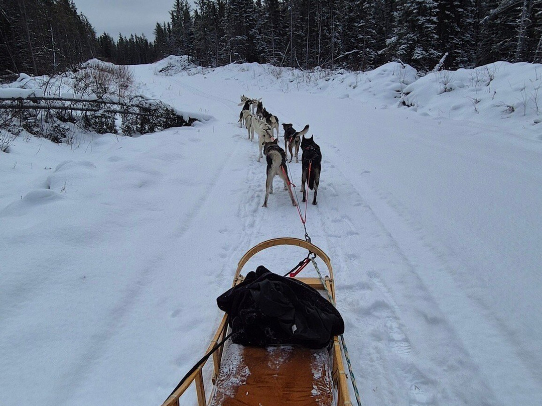 Alaskan du Nord景点图片