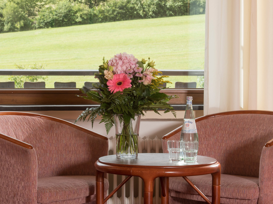 Sauerland Alpin Hotel主图