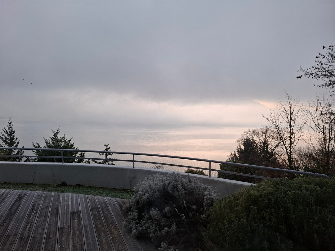 La Turqoise Egarée主图