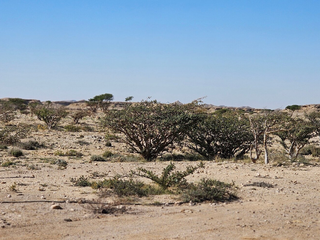 Wadi Dawkha-塞拉莱必去景点
