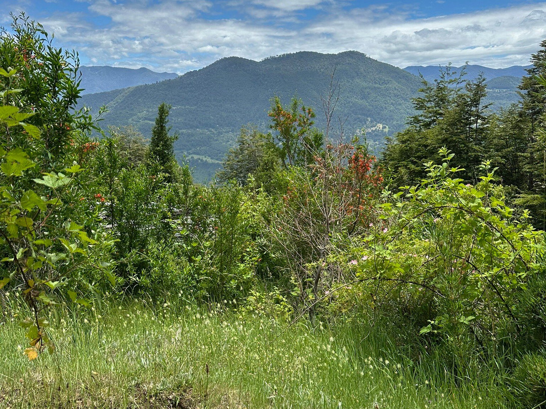 Santuario el Cañi-普孔必去景点