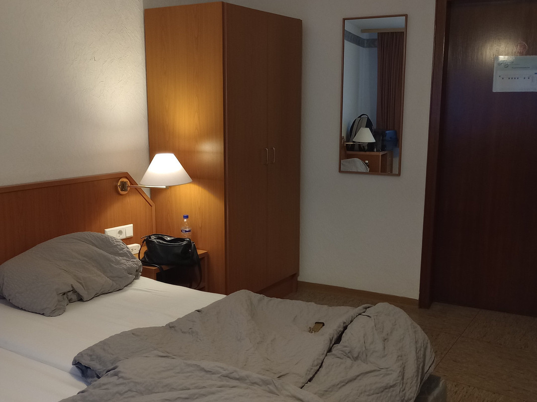 Wagner Hotel & Pensionshaus主图