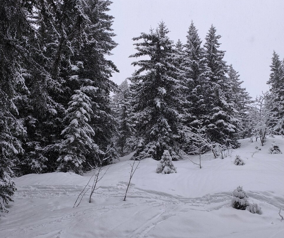 Domaine Skiable de Manigod-Manigod必去景点