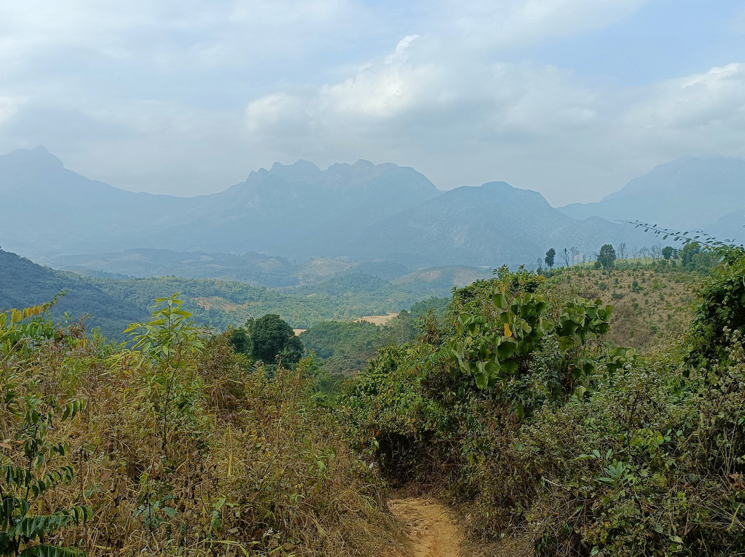 Yensabai Organic Farm-Muang Ngoi Neua必去景点