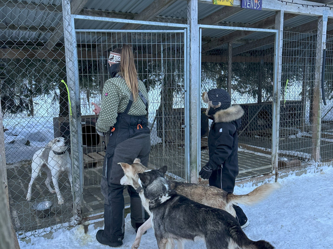 Sirdal Husky Farm景点图片