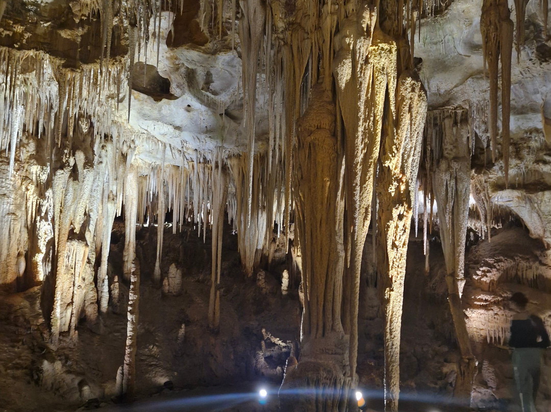 Tantanoola Caves Conservation Park-Tantanoola必去景点