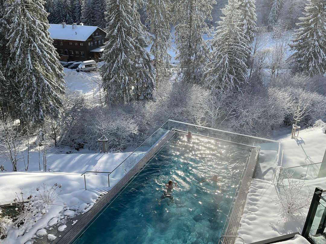 Belchenhotel Jaegerstueble主图