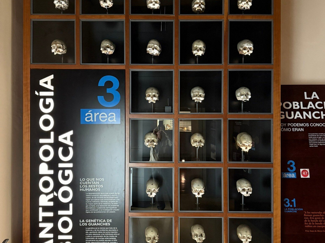 Museo de Naturaleza y Arqueologia景点图片