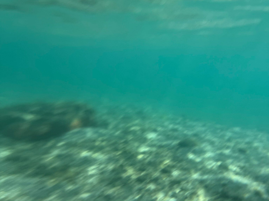 Phil Foster Park-Riviera Beach必去景点