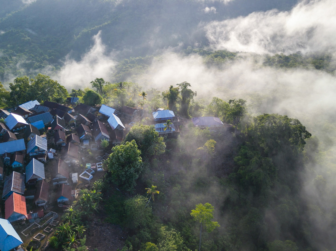 Sulawesi Eco Adventure景点图片