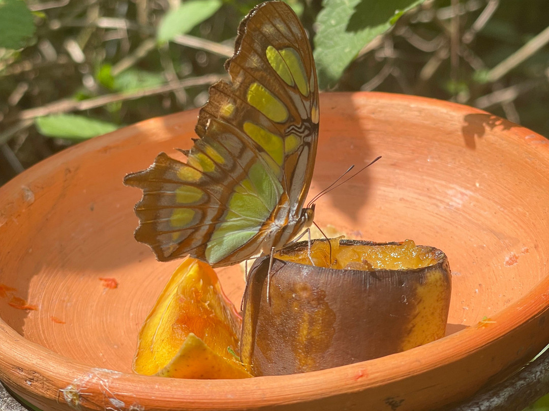 Zoologico de Cali-卡利必去景点