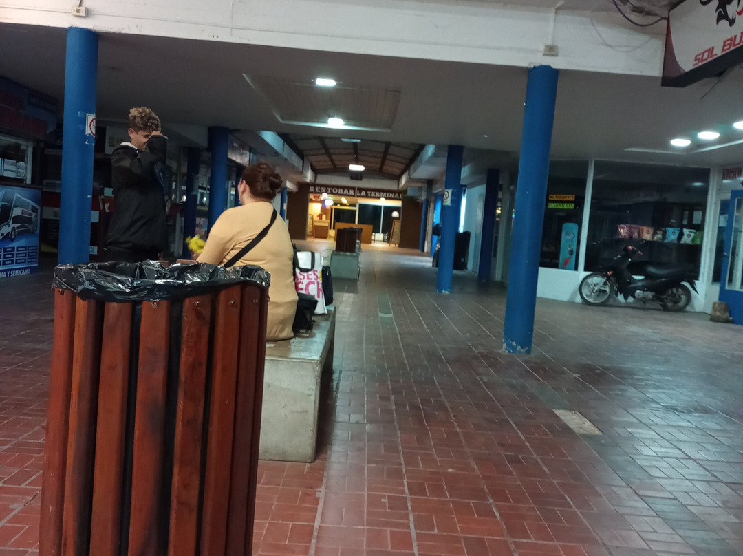 Terminal De Ómnibus De San Bernardo景点图片