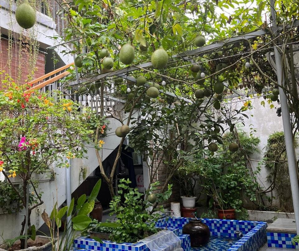 Asahi Luxstay - Homestay Duong Lam Hostel