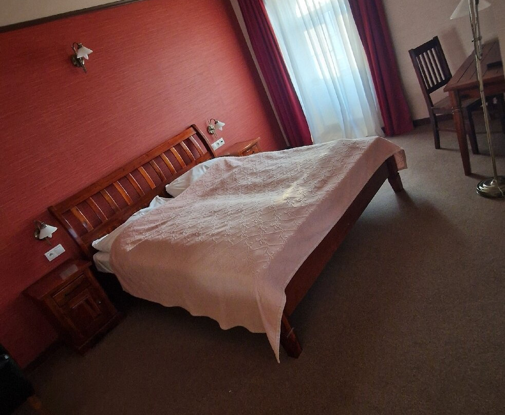 Hotel Zlaty Lev Zatec主图