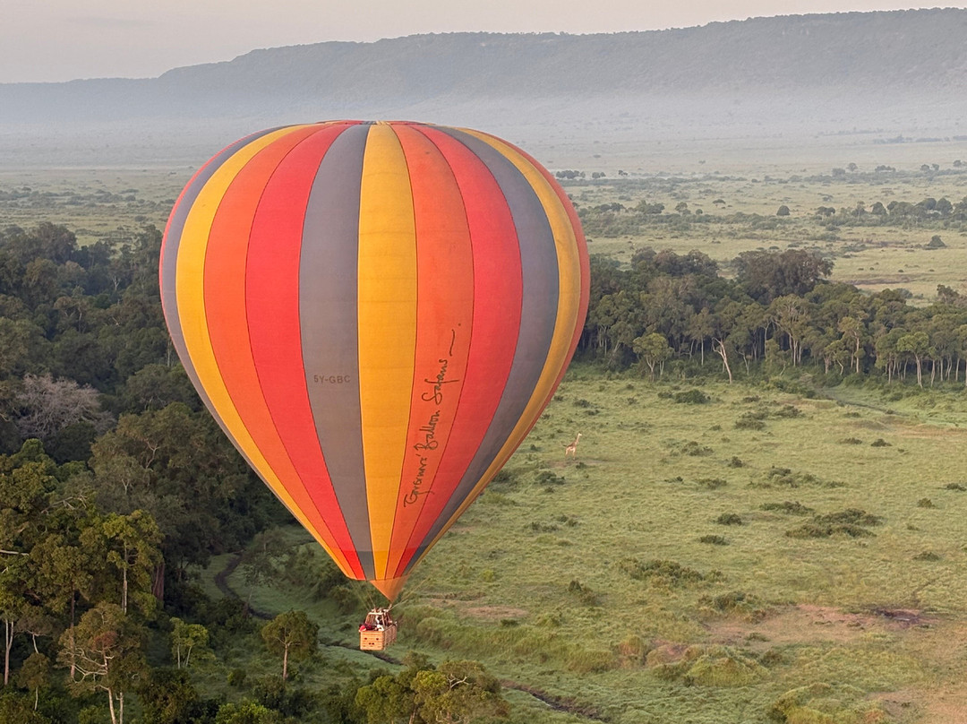 africa safariland tour-内罗毕必去景点